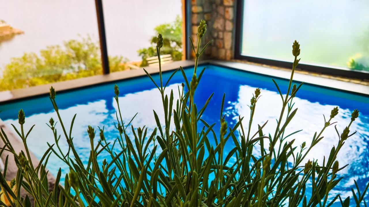 סטארי גראד Villa Relax , With Seaview And Two Pools Near Beach מראה חיצוני תמונה